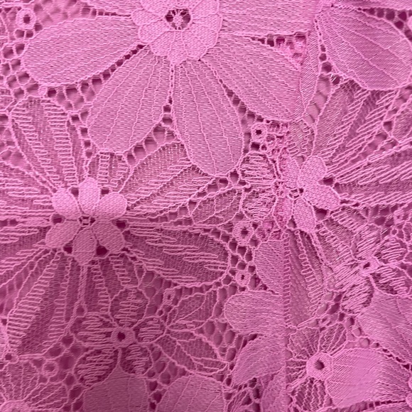 Rachel Parcell  Cap Sleeve Lace Sheath Dress- Size Small - Picture 6 of 6